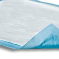 thumbnail image 3 of Dri-Sorb UFS-300 Underpad, light absorbency. Pack of 10, 3 of 3