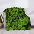 thumbnail image 3 of Naloa Tiny Green Fern Leaves Flannel Fleece Throw Blanket for Bed Couch, Thick Blanket - All Seasons Suitable for Women, Men and Kids-80"x60", 3 of 6