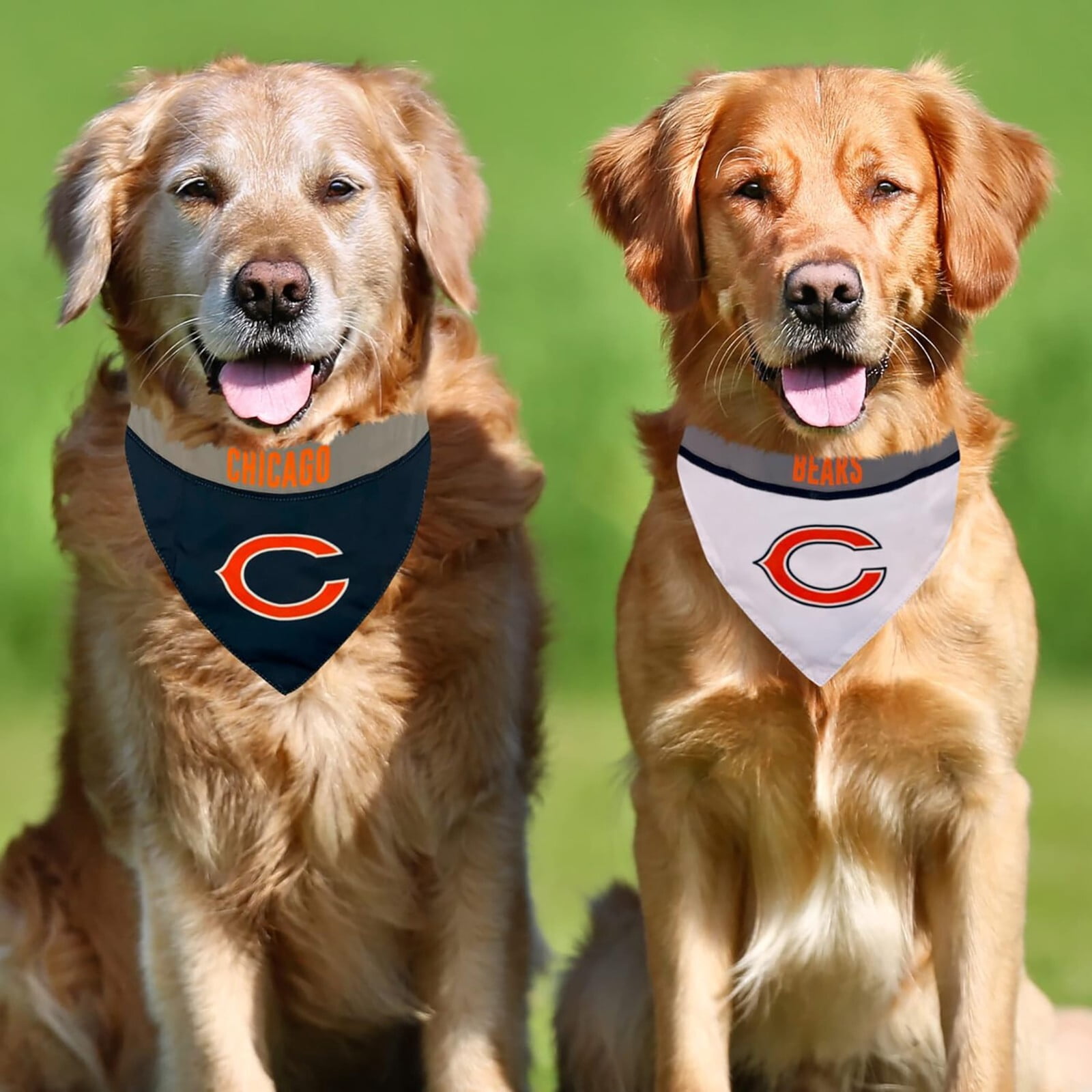 Pets First #1 NFL Party Bandana, Reflective Dog Bandana & Cat Bandana