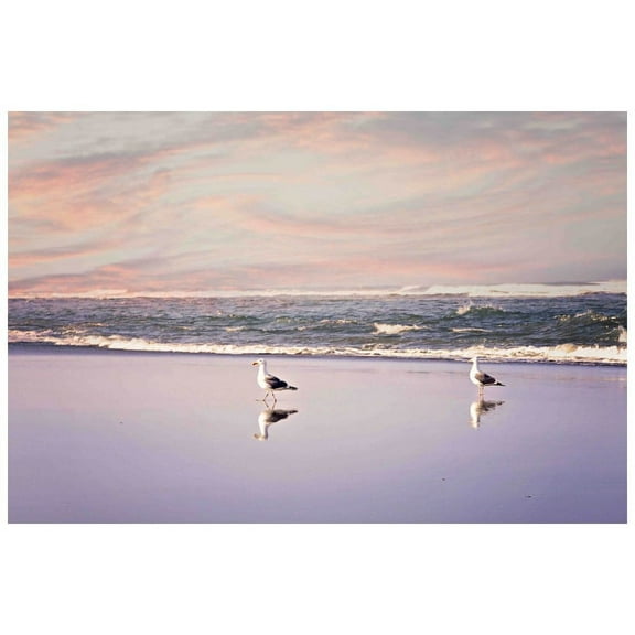 Marmont Hill Mh-Syck-01-C-30 20" X 30" "2 Seagulls" Giclee Art Print On Stretched Canvas