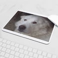 thumbnail image 5 of CafePress - Great Pyrenees Mousepad - Non-slip Rubber Mousepad, Gaming Mouse Pad, 5 of 6