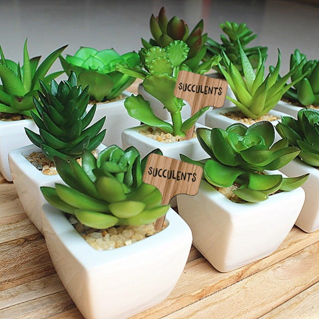 Premium Eco-Friendly Plant Labels Garden Markers for Seed Potted Herbs Flowers Vegetables 6 x 0.8 inches JOYSEUS 60Pcs Wooden Plant Markers with a Bonus Marker Pen 
