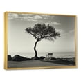 thumbnail image 2 of Designart "Monochrome Coastal Horizon With A Solitary Tree" Coastal Minimalism Floater Framed Wall Art Prints, 2 of 5