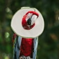 thumbnail image 3 of Parrot Collar Anti-pecking Collar Bird Recovery Collar Ring Anti-biting Bird Neckwear, 3 of 9