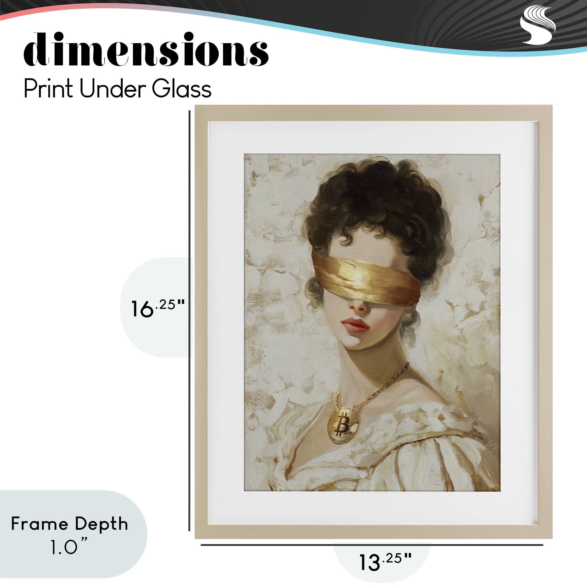 Stupell Industries Crypto Veil Portrait Birch Framed Print Under Glass, design by Svetlana Aleynikova