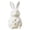 B, variant on Some Bunny is On The Way, Easter Farmhouse Decor Middle Rabbit Small Spring Decor Easter Party Decorations Set Valentines Cabinet St Patricks Day Lights Topiary Bunny, Desk Decorations Fo