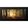 thumbnail image 2 of Podt, Martin 24x12 Black Modern Framed Museum Art Print Titled - Speulderbos Panorama, 2 of 5