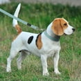 thumbnail image 7 of Plutus Pet Cotton Hemp Dog Collar and Leash Set, Adjustable Collar for Small, Medium, and Large Dogs, Heavy Duty and Soft on Skin, Light Blue, S, 7 of 7