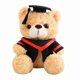 thumbnail image 2 of Muñeca de peluche de toga de graduación – Recuerdo de figura de toga académica, peluche de graduación suave y abrazable, recuerdo inspirador de decoración de graduación, 2 of 6