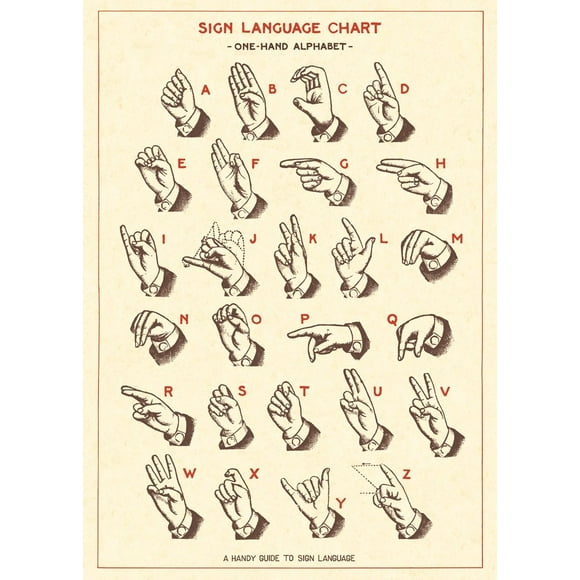 Cavallini Papiers & Co. Inc., Tableau en Langue des Signes, 20x28 Pouces (Emballage/seg)