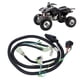 thumbnail image 1 of Arnés de cableado completo arnés principal de reparación multifunción resistente al desgaste 32100 HN1 000 para ATV ANGGREK Otros, 1 of 8