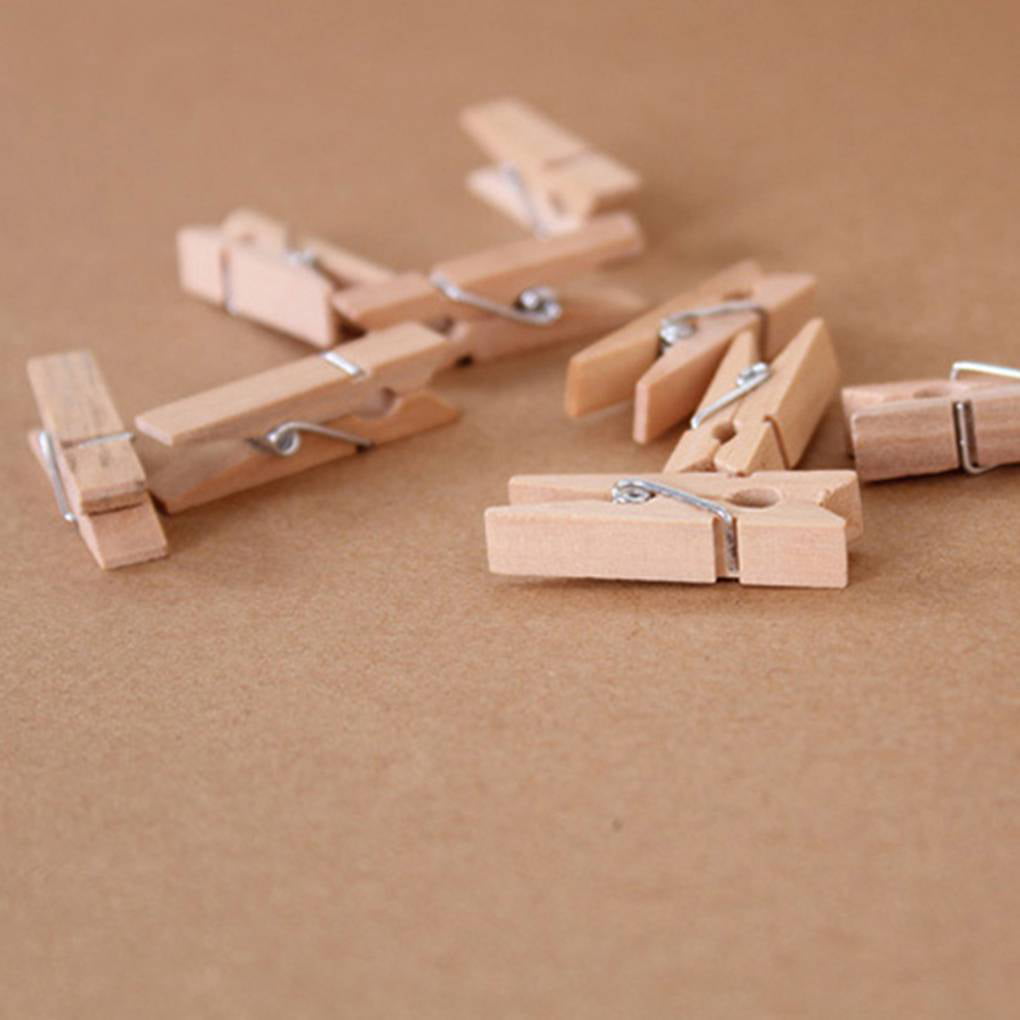Painted Clothes Pegs / Small Clothes Pin / Mini Clothespeg / Little Wooden  Clothespins (15pcs / 25mm or 1 inch / White) Photo Holder DIY F309