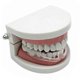 thumbnail image 3 of Teeth Protectors Dental Mouth Grinding Night Sleeping Molar Guard Bruxism, 3 of 4