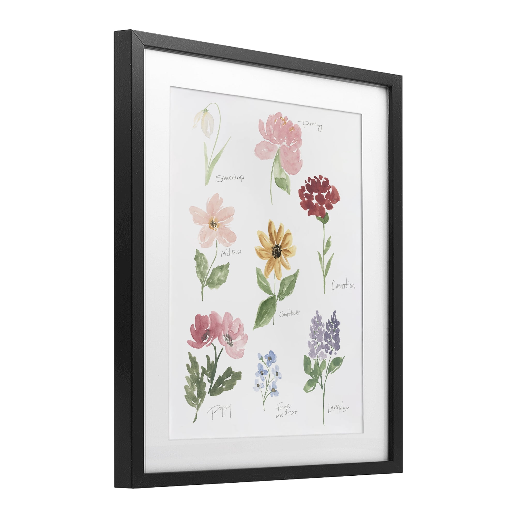 Stupell Industries Labeled Flower Varieties Black Framed Print Under Glass, design by Lucille Price