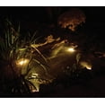thumbnail image 2 of Koolscapes Pond Glo 4 Light, 2 of 2