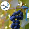 thumbnail image 7 of NIAIZEK 20Pcs Adjustable Plastic Branch Shape Fruit Branch Spreader Garden Limb Spreader Plant Growth Fixture Anti Breakage(5.91X1.97X0.39in), 7 of 7
