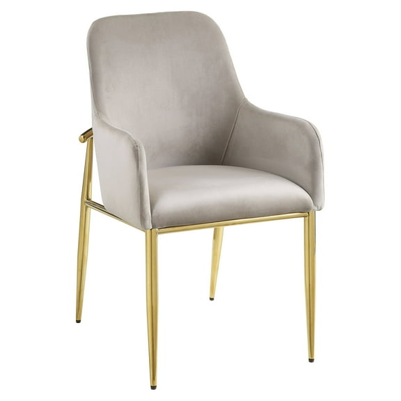 ACME Barnard Side Chair in Gray and Mirrored Gold (Set of 2)