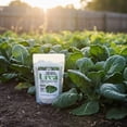 thumbnail image 4 of Old Cobblers Farm™ Wicked Growth High-Efficiency 46-0-0 Fertilizer - Urea - Fast-Acting Nitrogen Source for Lush Growth in Gardens & Farms -Soluble (5 lbs | 10 lbs | 15 lbs | 20 lbs) (20lbs), 4 of 11