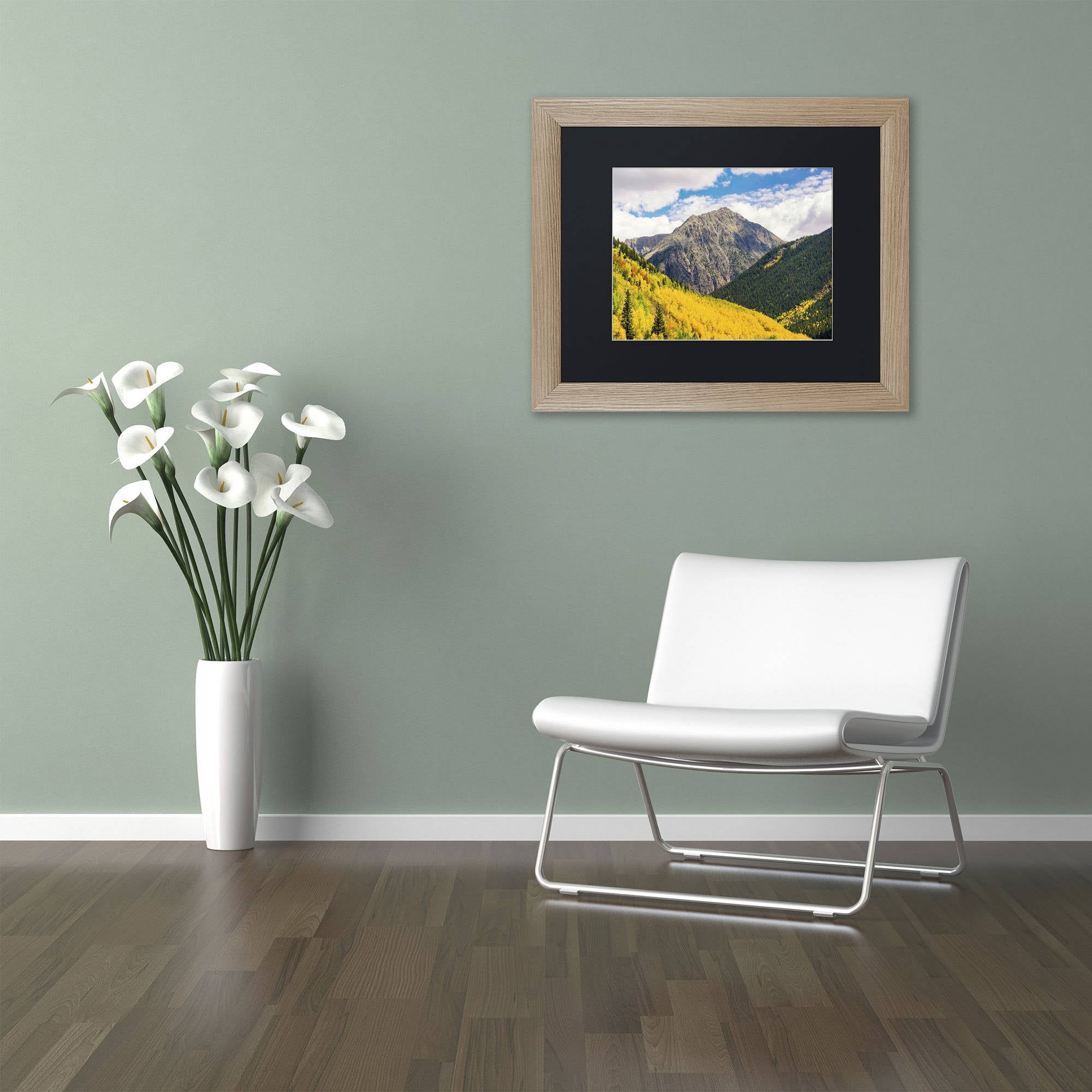 Trademark Fine Art "Aspen Slope" Canvas Art by Michael Blanchette Photography Black Matte, Birch Frame