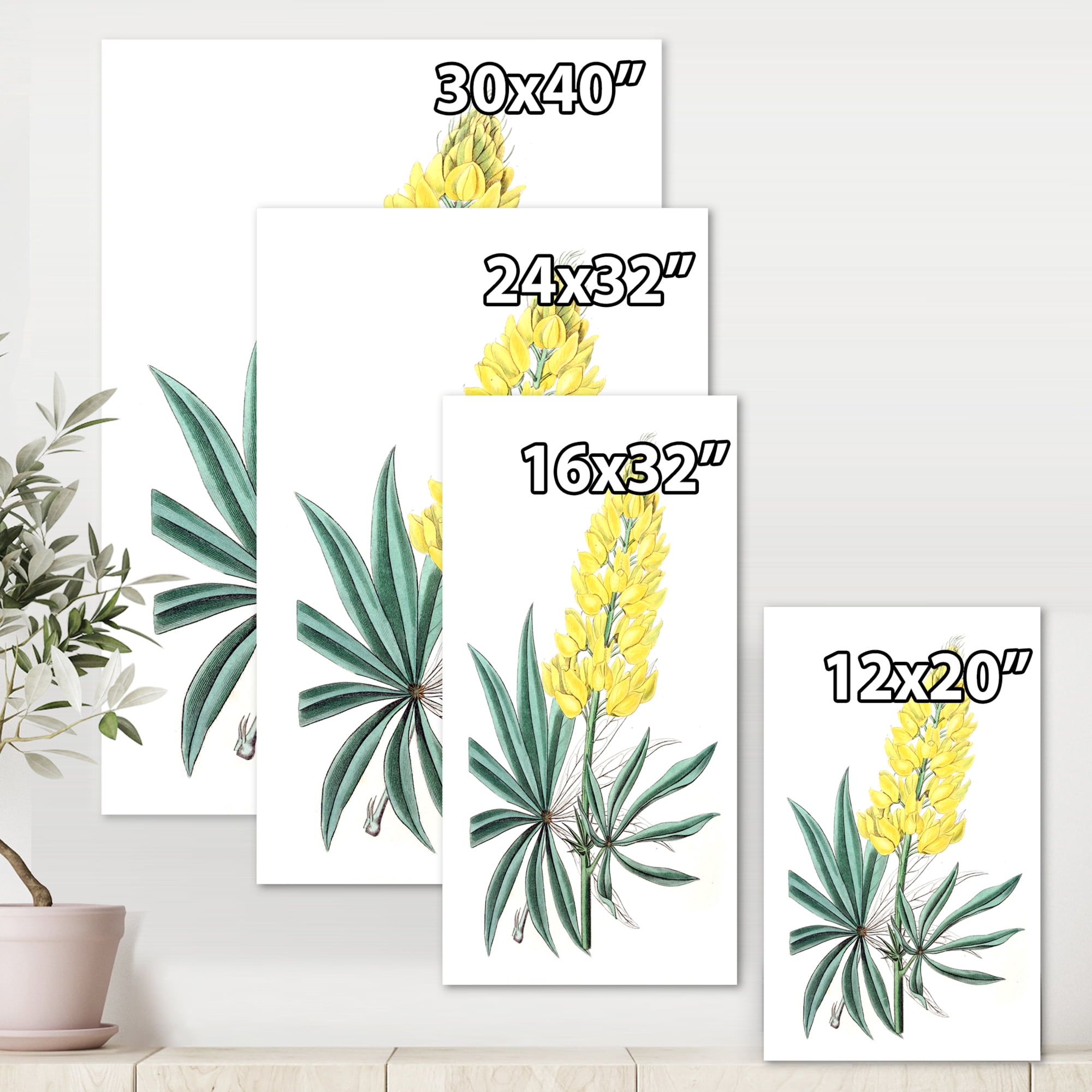 Designart ' Ancient Yellow Flower I ' Traditional Canvas Wall Art Print