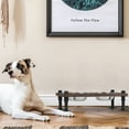 thumbnail image 3 of Elevated Dog Bowls Raised Pet Feeder Bowl Stand with 2 Stainless Steel Dog Bowls, 3 of 5