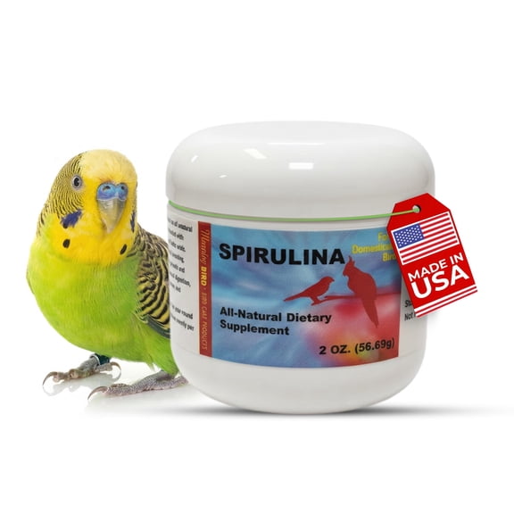 Morning Bird Spirulina Bird Food Natural Dried Algae 2 oz