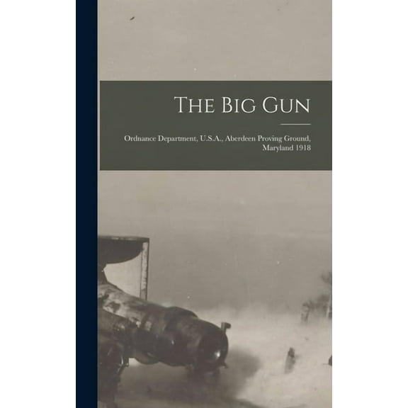 The Big Gun (Hardcover)