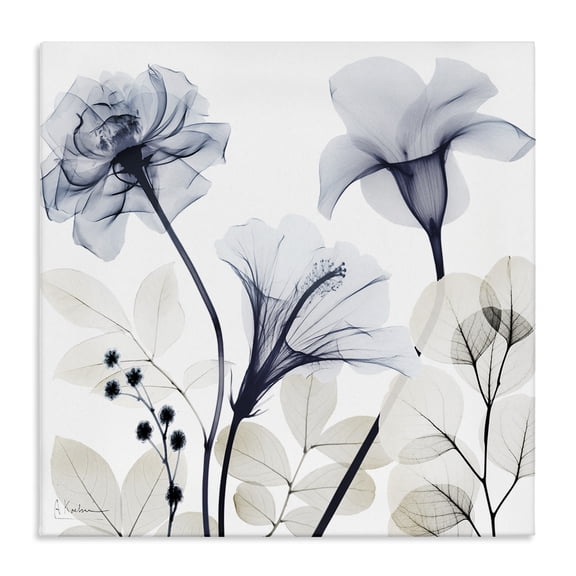 Stupell Industries Sophisticated Minimal Flowers Floral Photography Wrapped Canvas Canvas Art Print Wall Art, 17 x 17