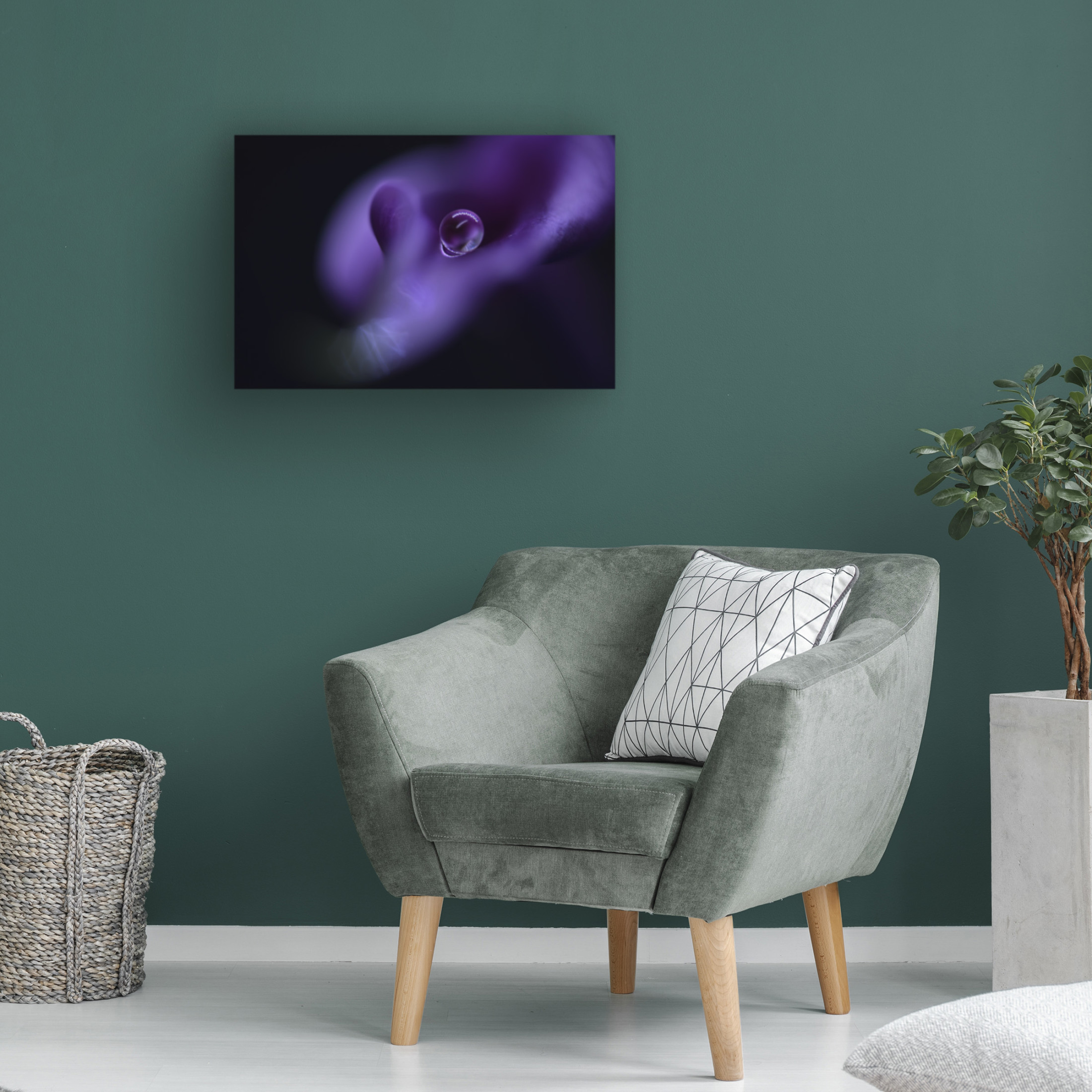 Canvas Wall Art - Heidi Westum 'Kala`S Pearl' Wall Art for Living Room, Bedroom, or Office Décor by Trademark Fine Art - 47 x 30 Inches