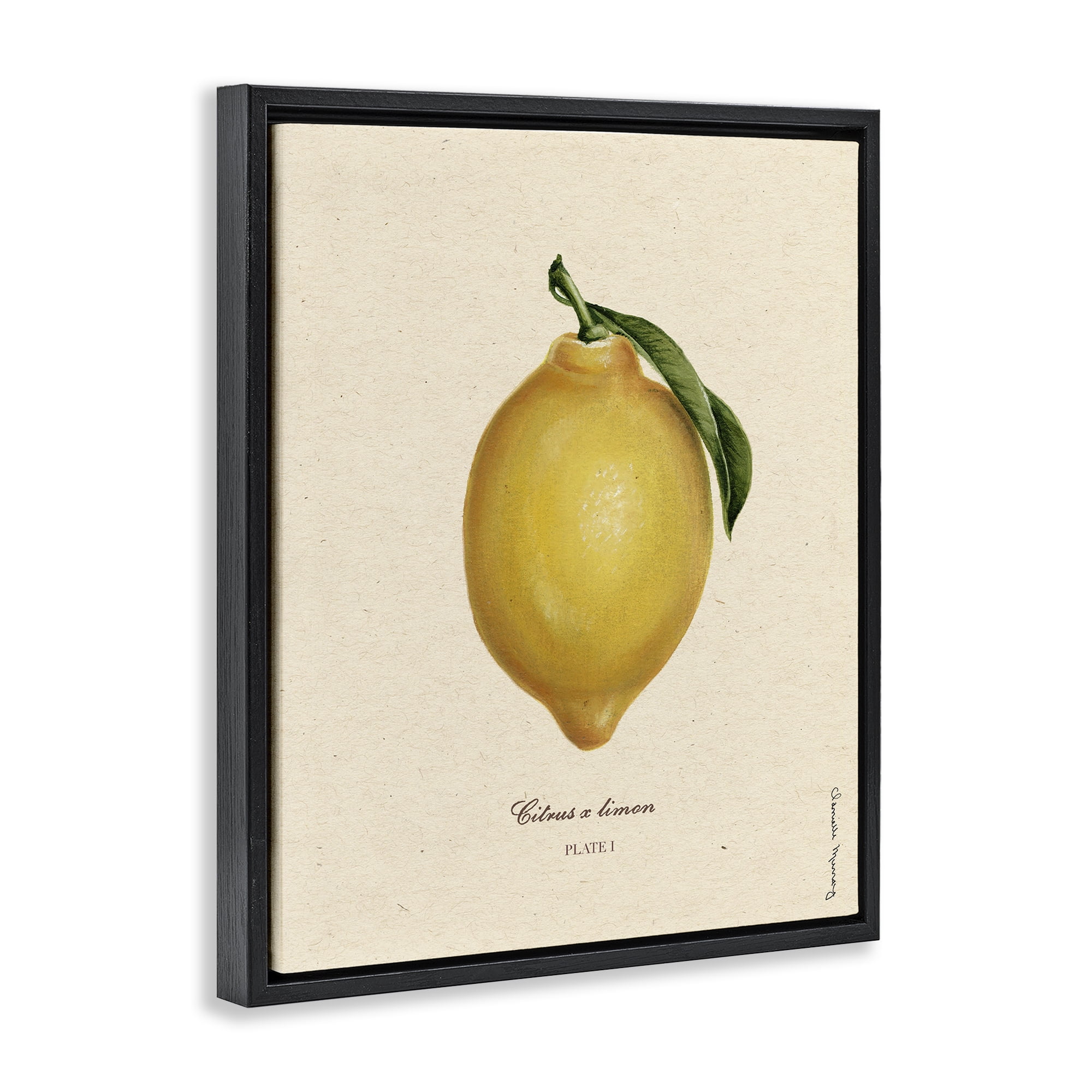 Stupell Industries Lemon Fruit Portrait Black Framed Floater Canvas Wall Art, design by Danielle Murray