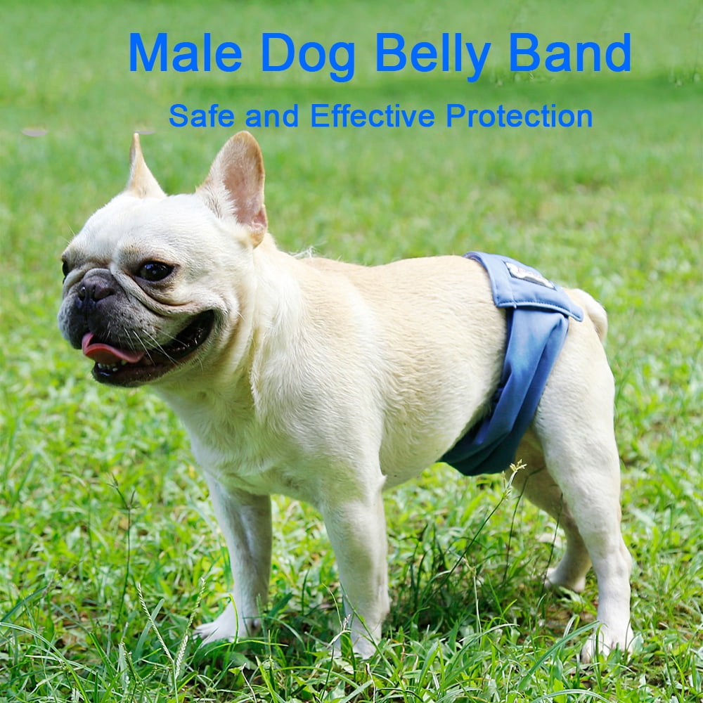 Washable Male Dog Belly Band Wrap Waterproof Pet Diaper Toilet Training