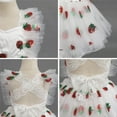 thumbnail image 6 of IBTOM CASTLE Baby Toddler Girl Backless Lace Butterfly Strawberry Ruffle Princess Cake Smash Birthday Party Photoshoot Dress 2-3 Years White, 6 of 6