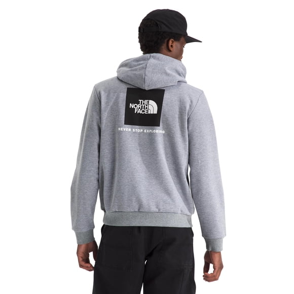 Buzo con capucha The North Face Evolution Box NSE, gris pálido, talle S