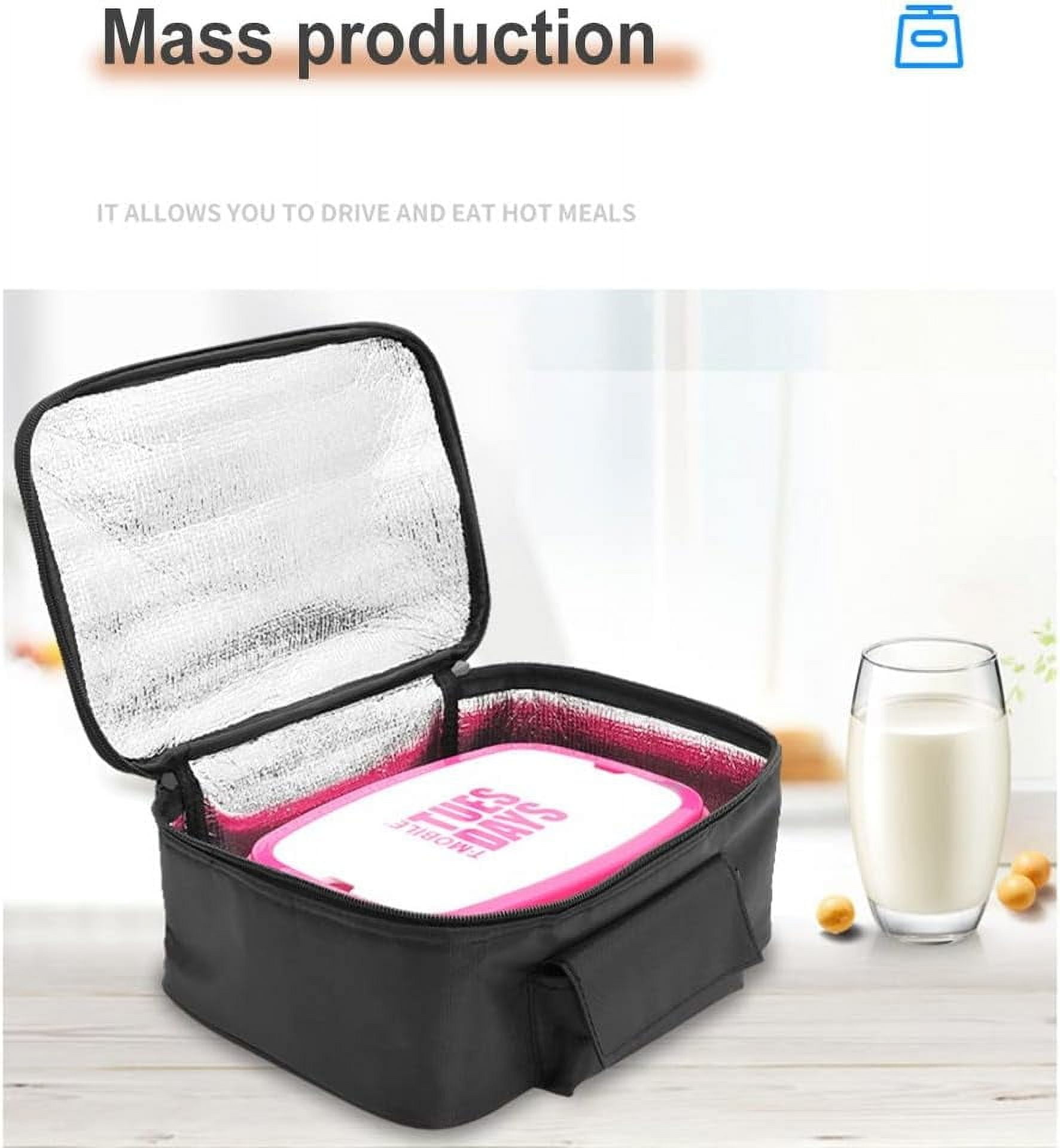 12V Car Cooler Bag, Electric Picnic Lunch Bag Cooler Bag Foldable Cooler Bag for Carrying Picnic Food - 29cmx21cmx11cm