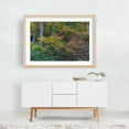 thumbnail image 6 of Admiring the Early Autumn Colors - York Pennsylvania Photography Autumn Forest Nature Woodland Scenic Wilderness Landscape Unframed Wall Art Print 8 x 12 inches, 6 of 7