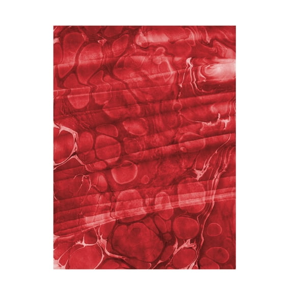 Canvas Wall Art - Bilge Paksoylu 'Ebru Red440' Wall Art for Living Room, Bedroom, or Office Décor by Trademark Fine Art - 14 x 19 Inches