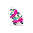 thumbnail image 1 of PATINES DBX Express Quad Skate Set, 1 of 6