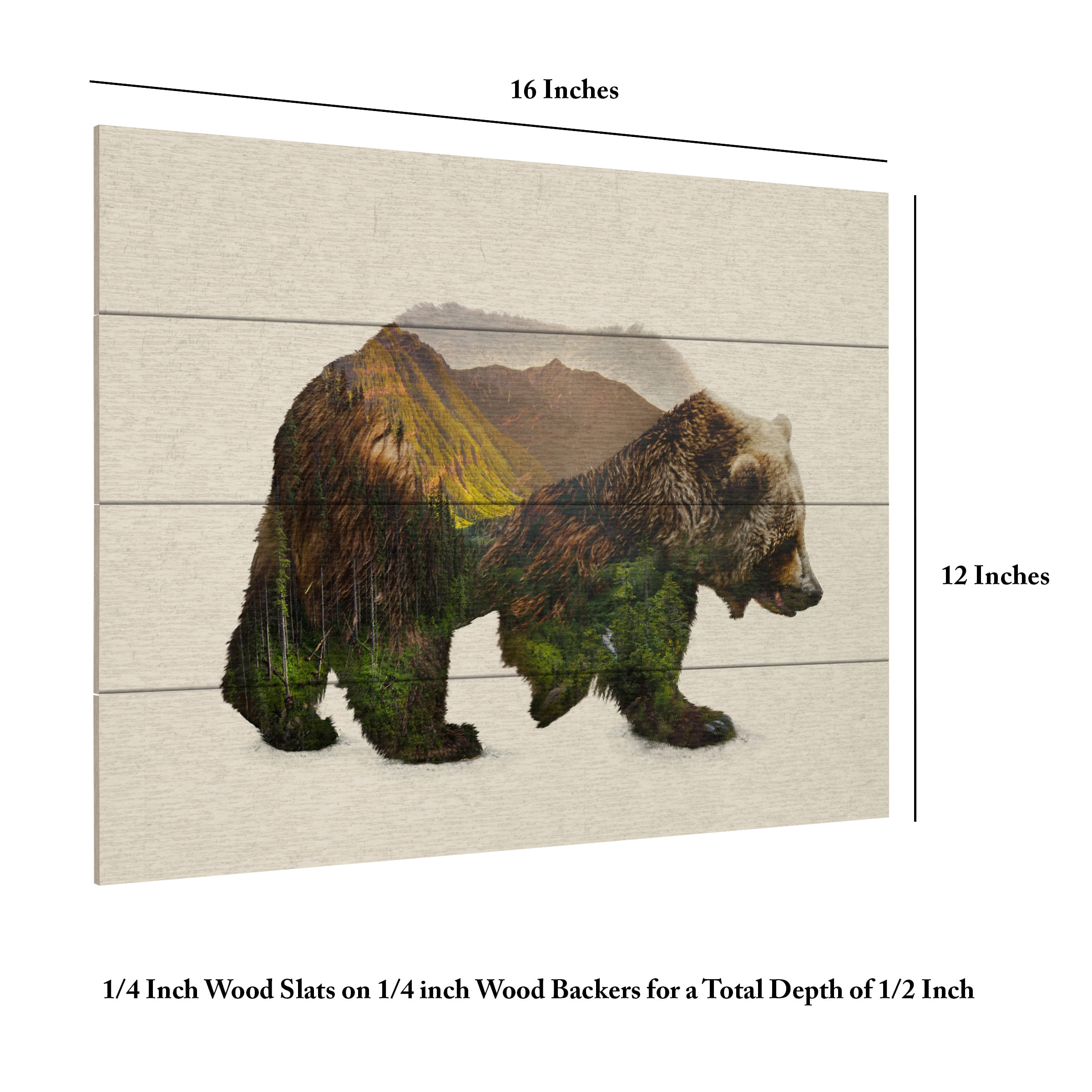 Davies Babies 'North American Brown Bear' Wood Slat Art 12x16