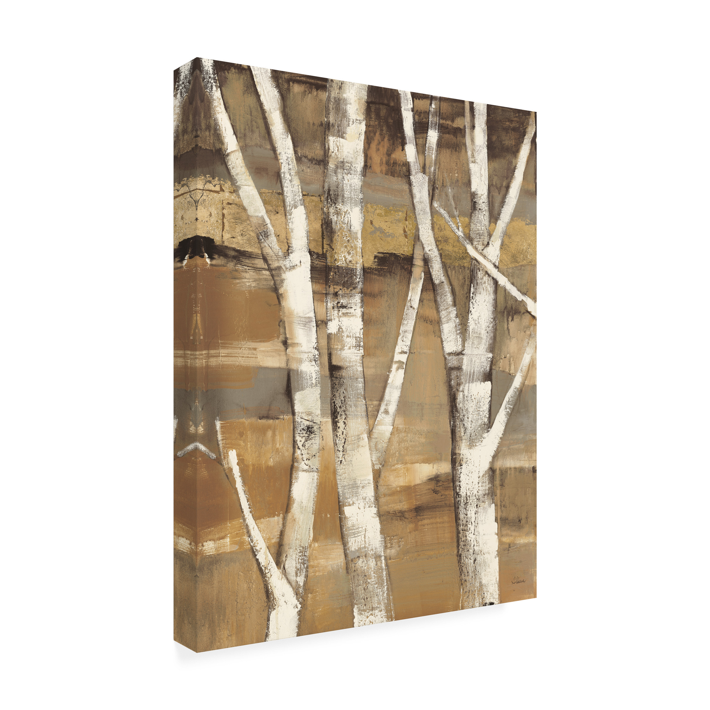 Trademark Fine Art 'Wandering Through The Birches I' Canvas Art by Albena Hristova