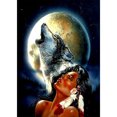 thumbnail image 1 of Taladro Pintura Diamante (DE4118) 5D DIY Lobos Completos Punto de Cruz Bordado Artesanía (C) 30x40cm Hugtrwg Para estrenar, 1 of 1