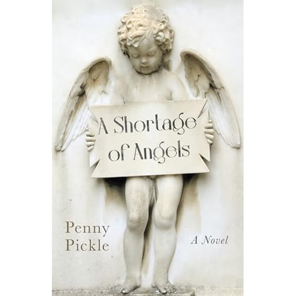 Pre-Owned Shortage of Angels : A Novel (Paperback)