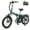 Man-Green Hydraulic, variant on Wildeway Folding Electric Bike for Adults 20'',Hydraulic Brake, 750W 48V 32AH UL2849 Removable Battery Electric Bicycle , 7 Speeds with Fat Tire E-Mountain Bike Off-road Beach&Snow Ebike