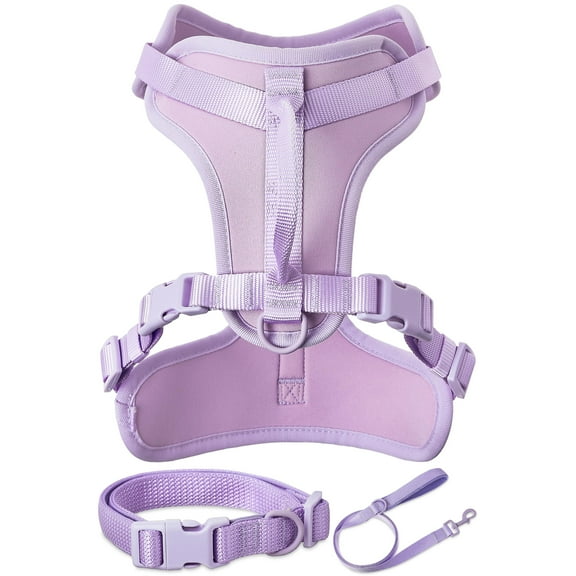 Vibrant Life Neoprene Cushioned Walking Dog Set, Adjustable Dog Collar and Harness with 6ft Leash, Lavender, Medium