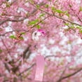 thumbnail image 2 of Taxenne Chimes - Decorative Memorial Wind Bells for Home and Outdoor Garden, Perfect for Relaxing Ambiance, 2 of 10