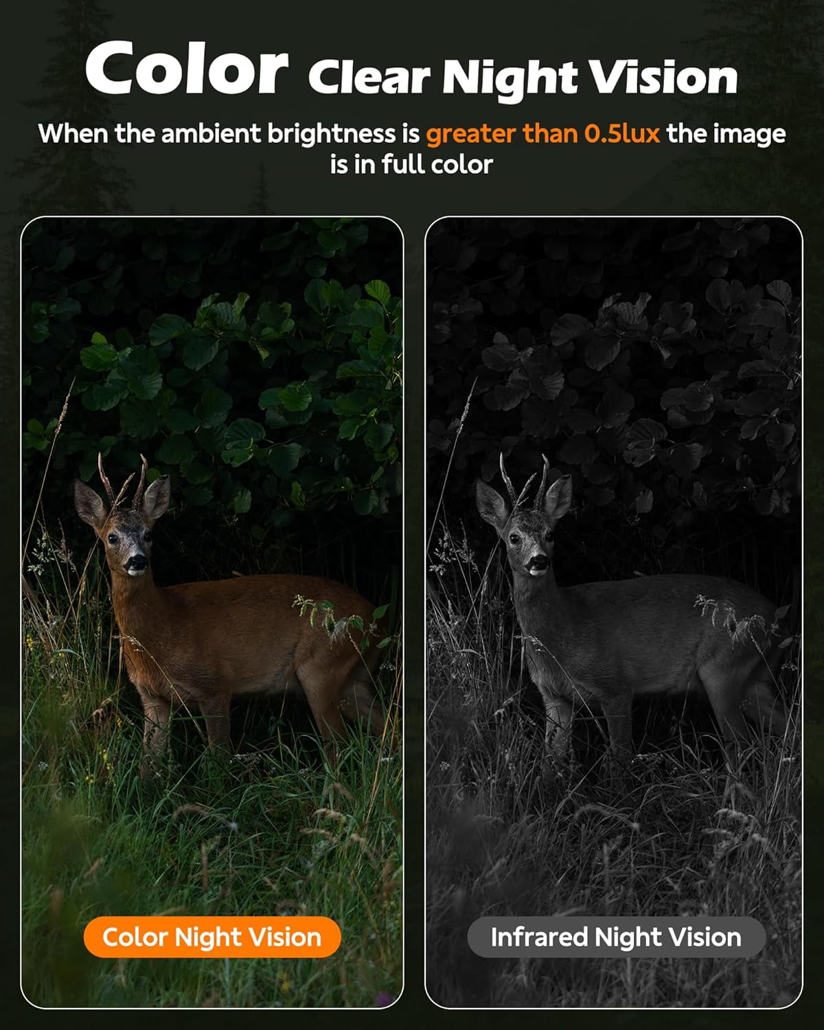 CAMPARK Cellular Solar Trail Camera with Live Streaming - 4G LTE Unlimited Data Game Camera with Night Vision, 0.1s Trigger Motion Activated, Real-Time Alerts for Wildlife Monitoring