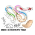 thumbnail image 6 of Dissect It Rattlesnake Superlab Dissection Kit for Kids, Realistic Anatomy Experience, 6 of 14