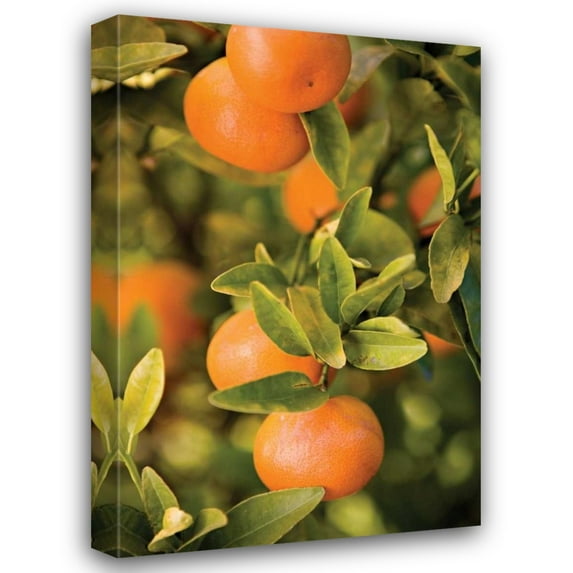 Karyn Millet 31x44 Gallery Wrapped Canvas Wall Art Titled - OrangesII