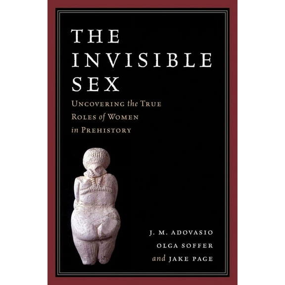 The Invisible Sex : UNCOVERING THE TRUE ROLES OF WOMEN IN PREHISTORY (Paperback)