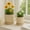 Ivory, variant on Squoval Design Planters with Saucer for Home Decor - Ceramic Flower Pot Accent for Living Room, Tabletops, and Backyards - Indoor and Outdoor Pots for Plants - Set of 2, 7", 6", Blue