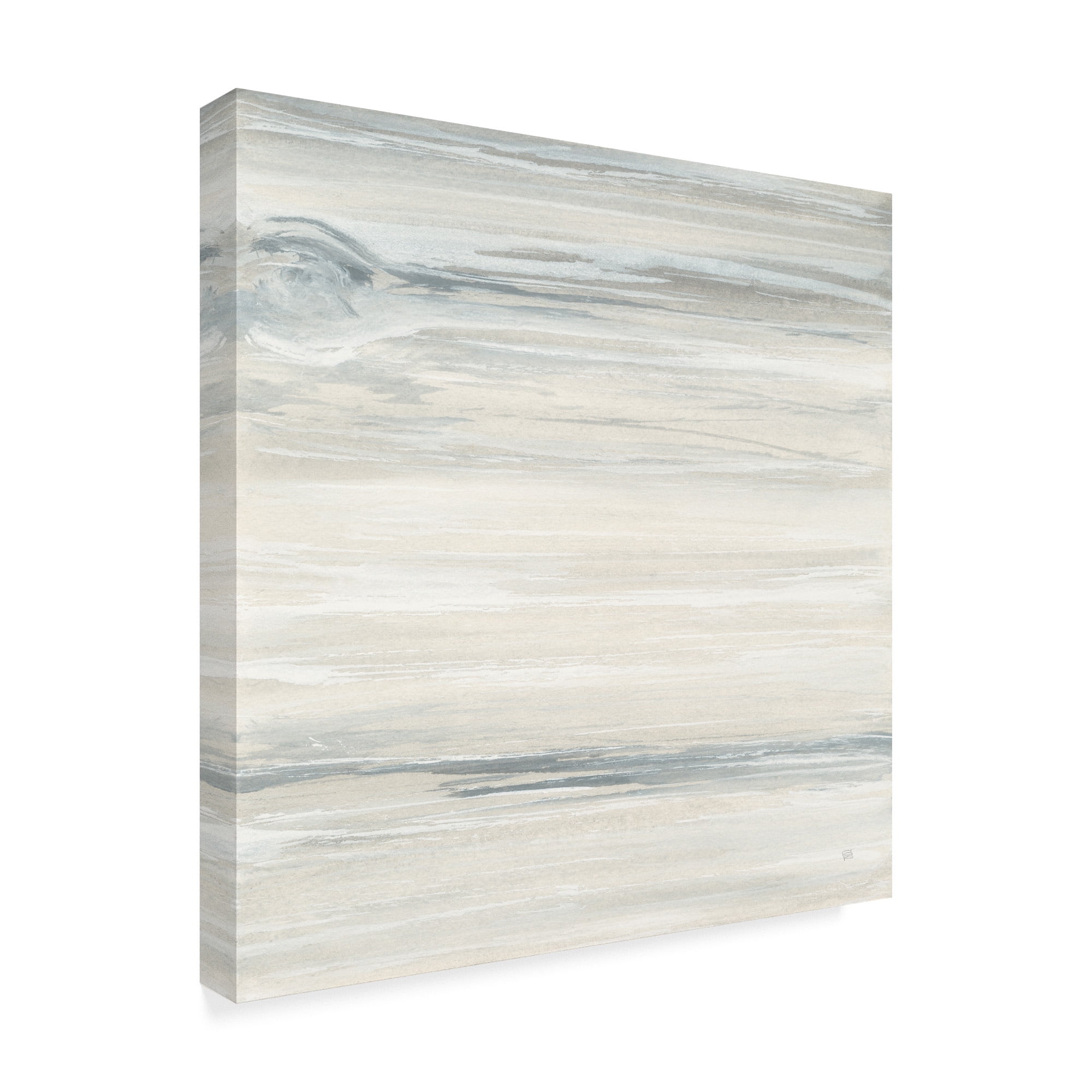 Trademark Fine Art 'Wood Panel I' Canvas Art by Chris Paschke